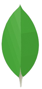 mongodb logo